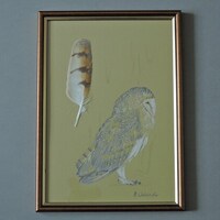 Sleeping barn owl, an original drawing with a real feather.