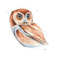 Screech Owl Watercolor Painting by Christy Barber | Owl painting, Owl Tiny Art Print Print, ...