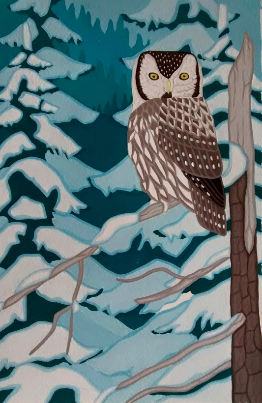 Boreal Owl painting
