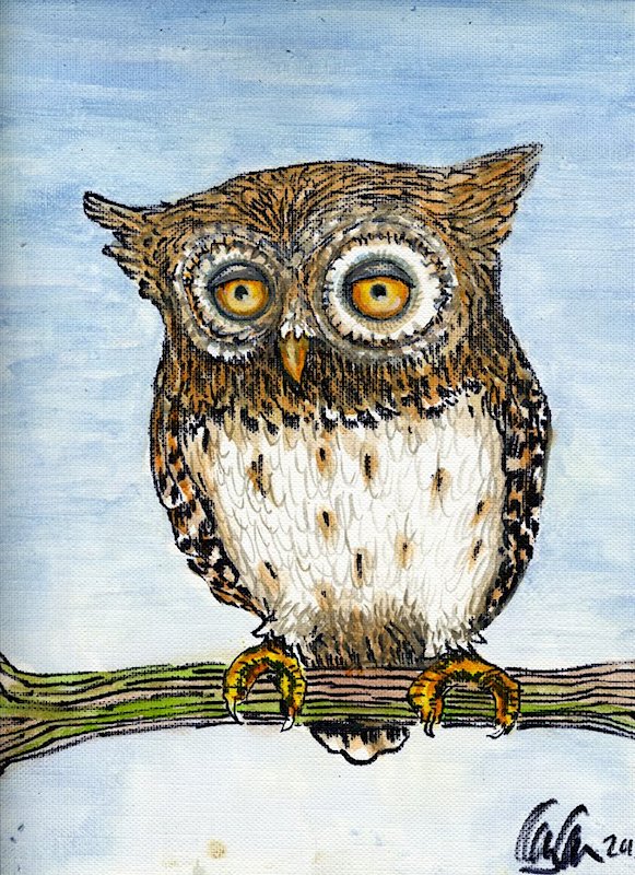 painting of a Little Owl
