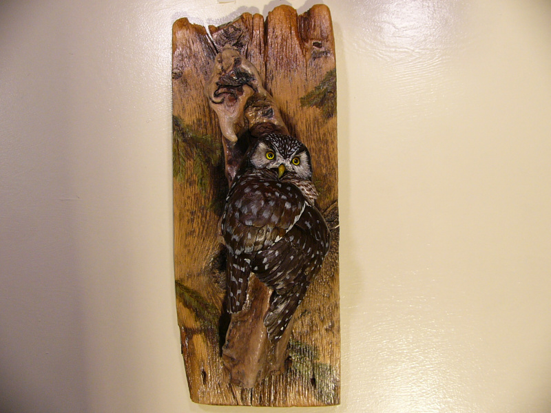 Northern Hawk Owl sculpture