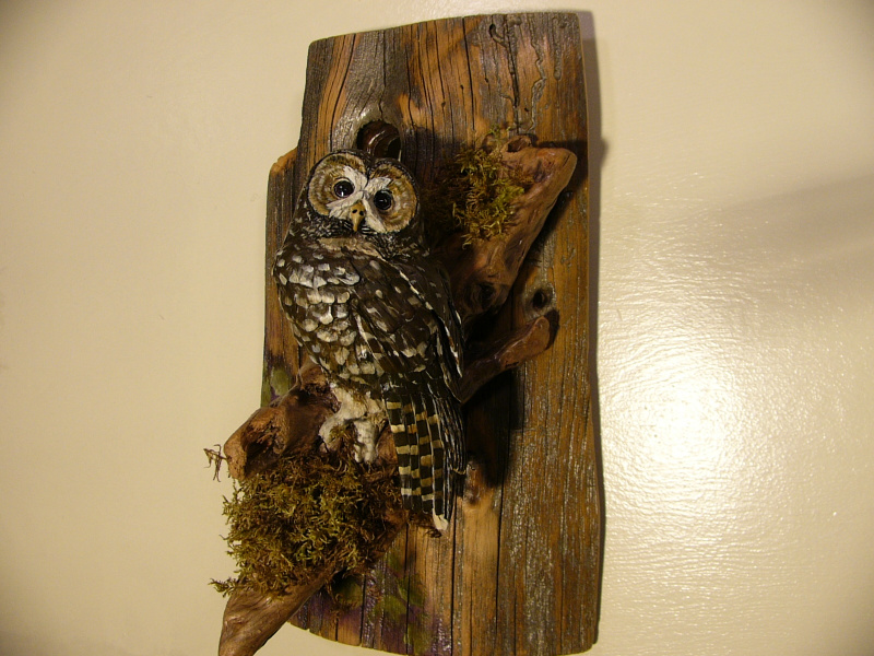 Spotted Owl sculpture