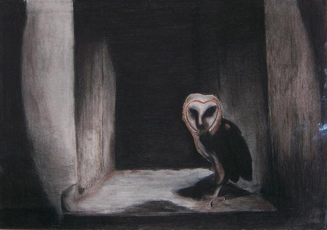 painting of a Barn Owl