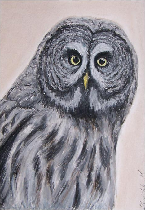 painting of a Great Grey Owl