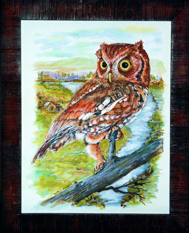 Screech Owl painting