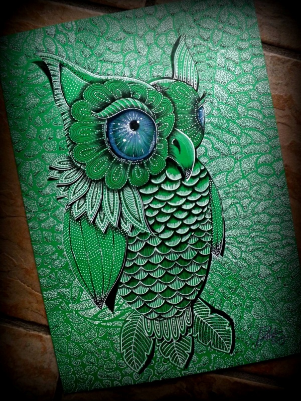 Green Owl drawing
