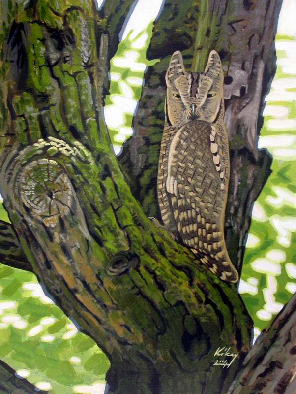 painting of Scops owl