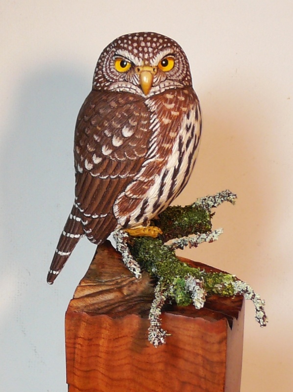 Northern Pygmy Owl carving