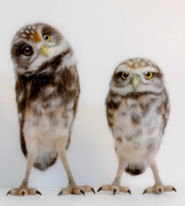 Needle-felted Burrowing Owls