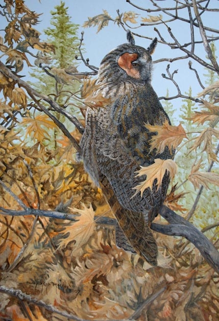 painting of a Long-eared Owl