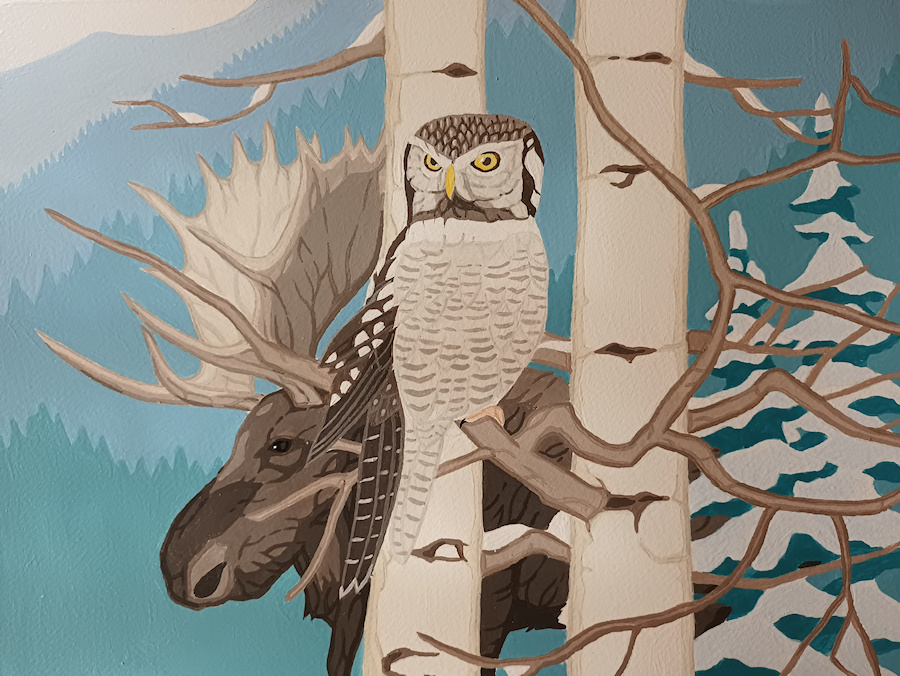 Northern Hawk Owl painting