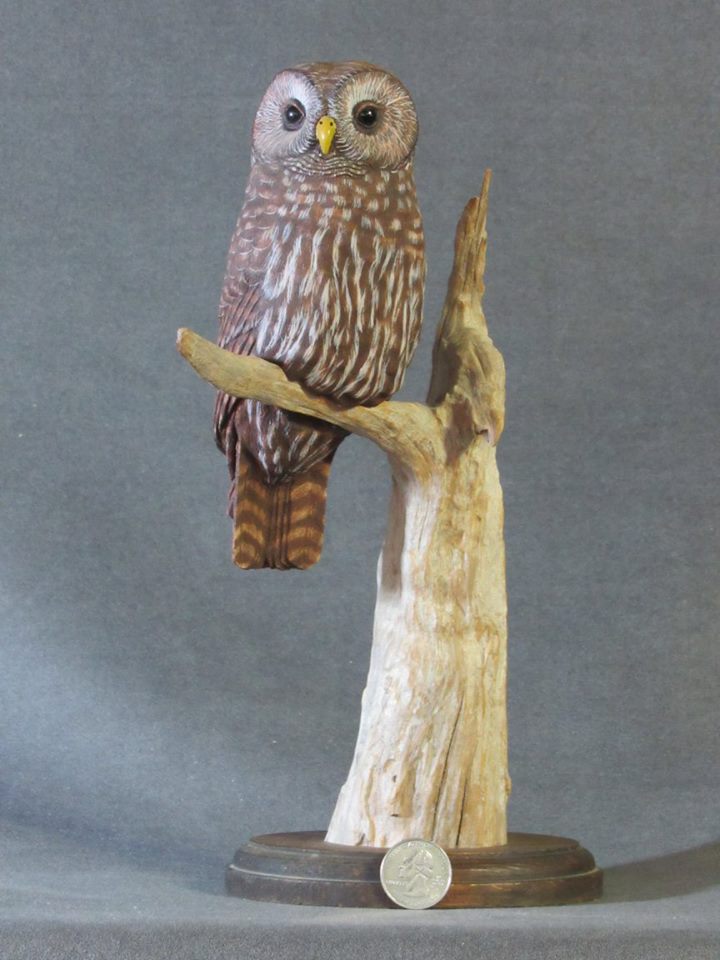 Barred Owl Carving
