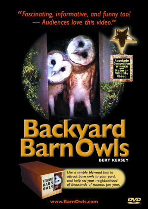 Backyard Barn Owls