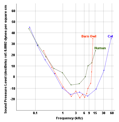 Barn Owl hearing graph