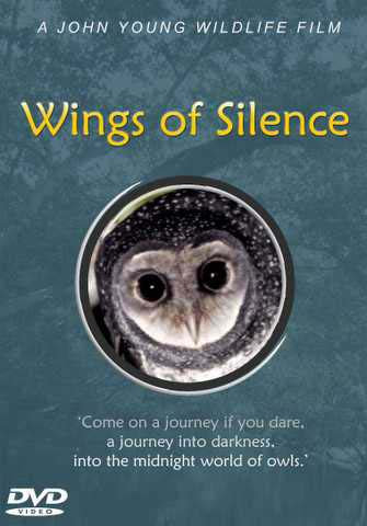 Wings of Silence DVD
