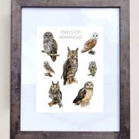 Owls of Arkansas- Print of 7 Owl Oil Paintings