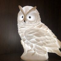 Owl White Led Night Light Figurine,Owl Night Lamp,Housewarming Gift,Owl Figurine