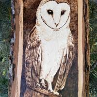 BARN OWL ART pyrography woodburned art  bird lover gift owl wall decor