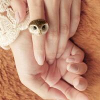 Happy Spotted Owl Ring , Owl Lover ,  MOONLIGHT VALLEY