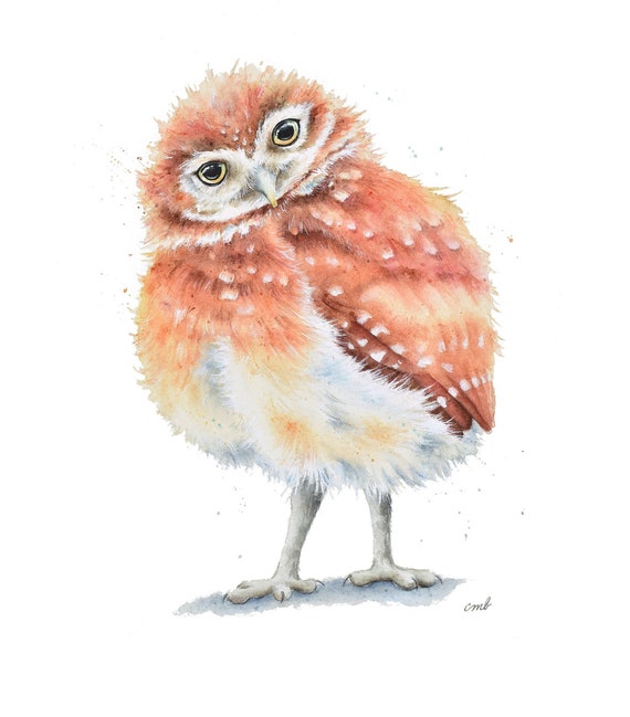 Little Owl Watercolor Painting by Christy Barber |Owl Watercolor Print, Owl Watercolor Print, Bird Painting, Burrowing Owl Bird Artwork
