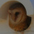 The Economic Value of Barn Owls