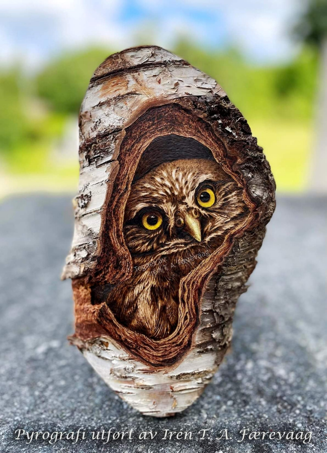 Little Owl wood pyrography