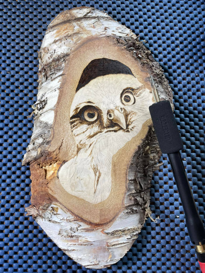 Litte Owl wood pyrography