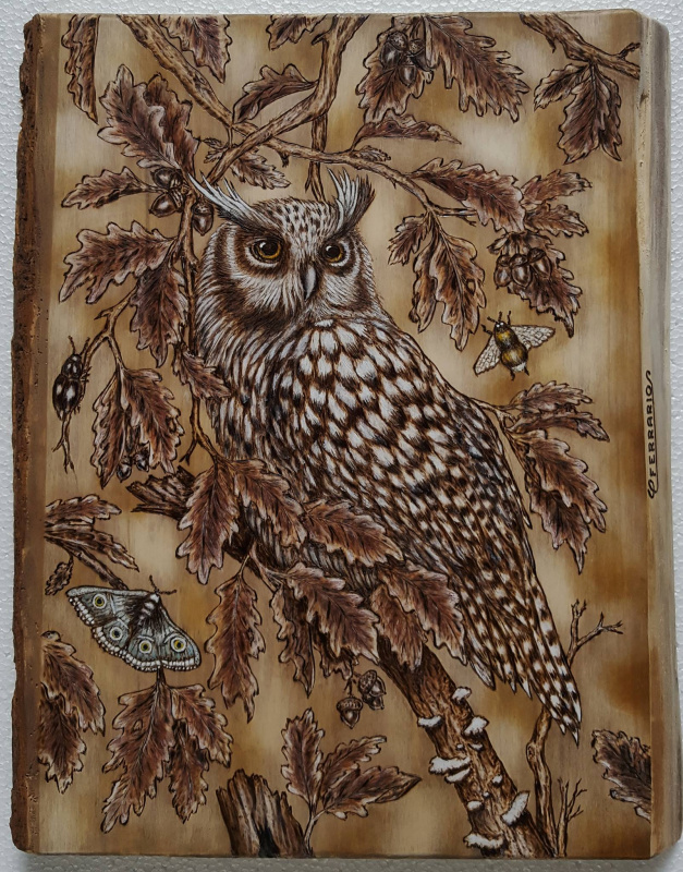 Owl Pyrography