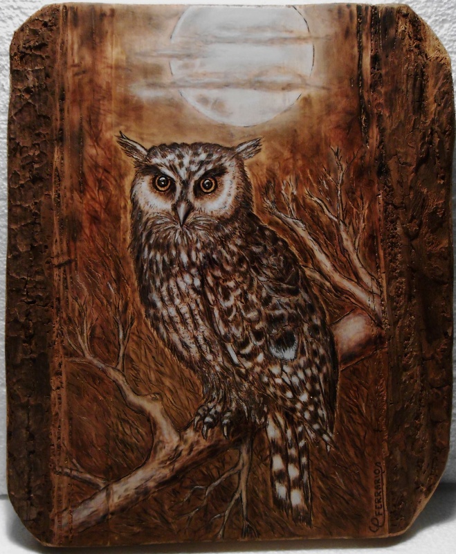 Owl Pyrography