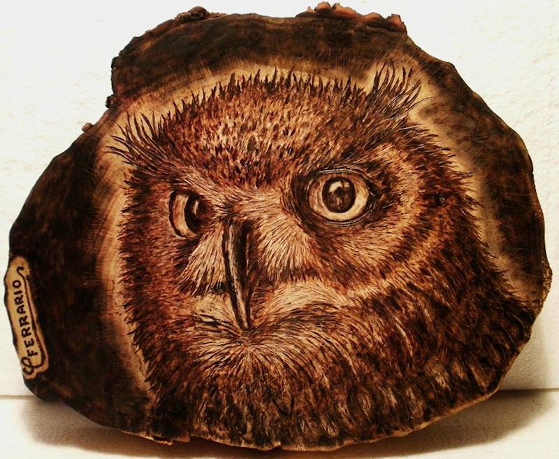 Owl Pyrography