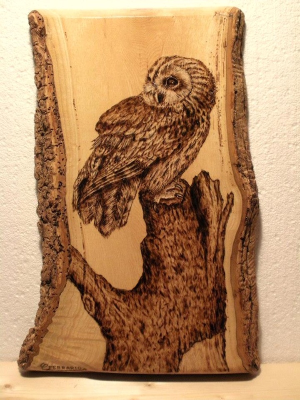 Owl Pyrography