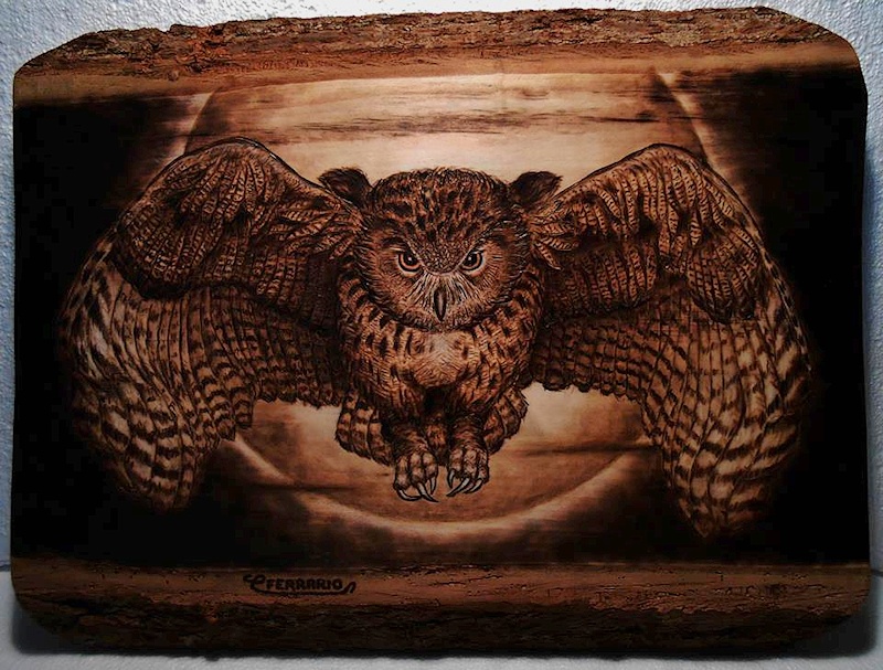 Owl Pyrography