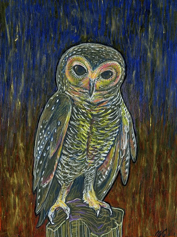 painting of a Little Owl