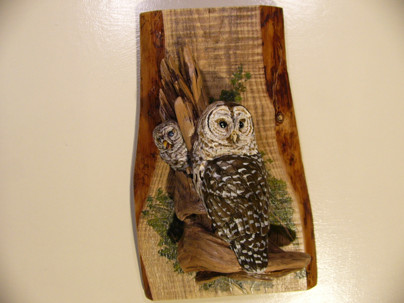 Barred Owl sculpture