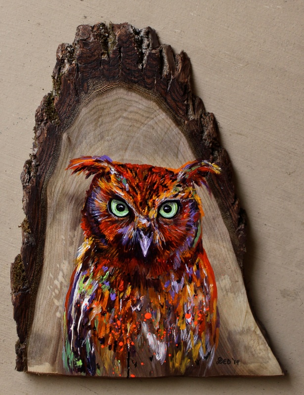 Owl painting