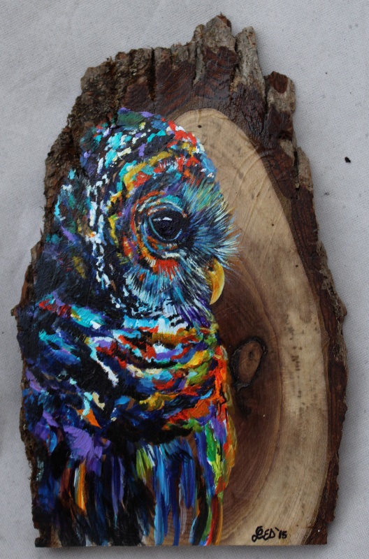 Owl painting