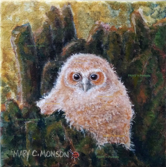 Mottled Owl painting