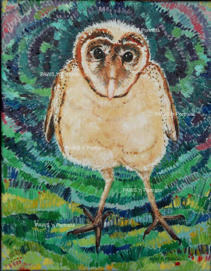 Barn Owl painting