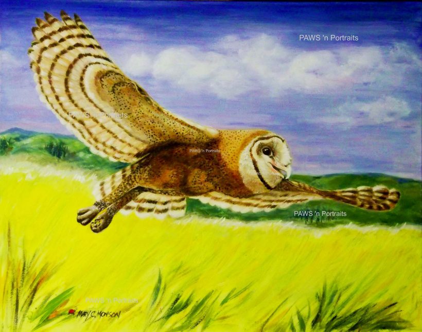 Barn Owl painting