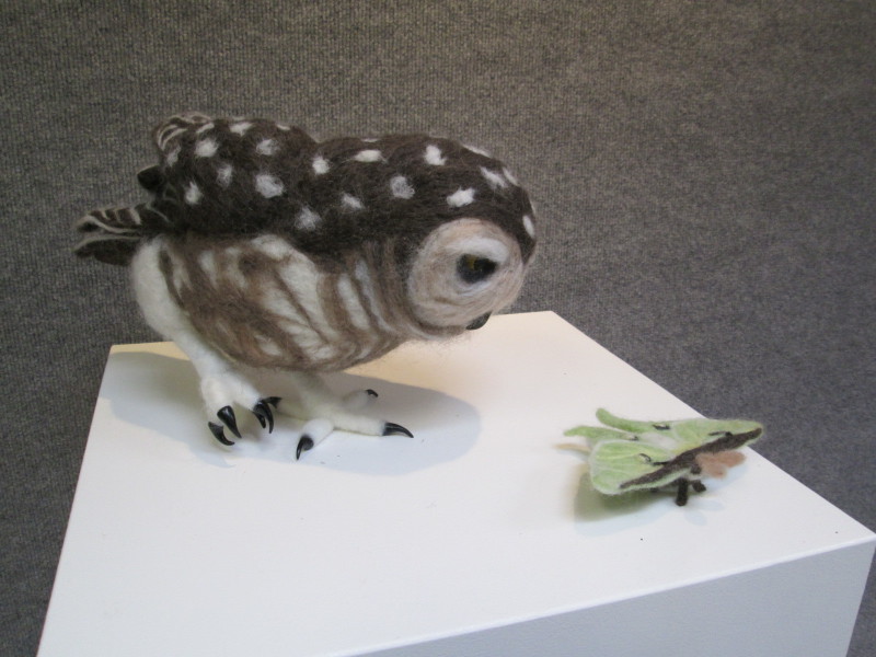 Needle-felted Burrowing Owl