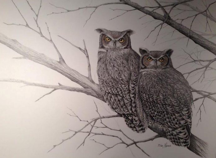 Great Horned Owls