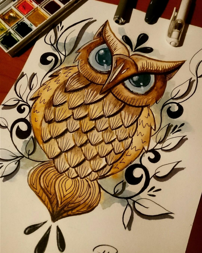 Owl drawing