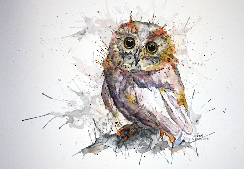 Owl Painting