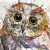Owl paintings by Philipp Grein