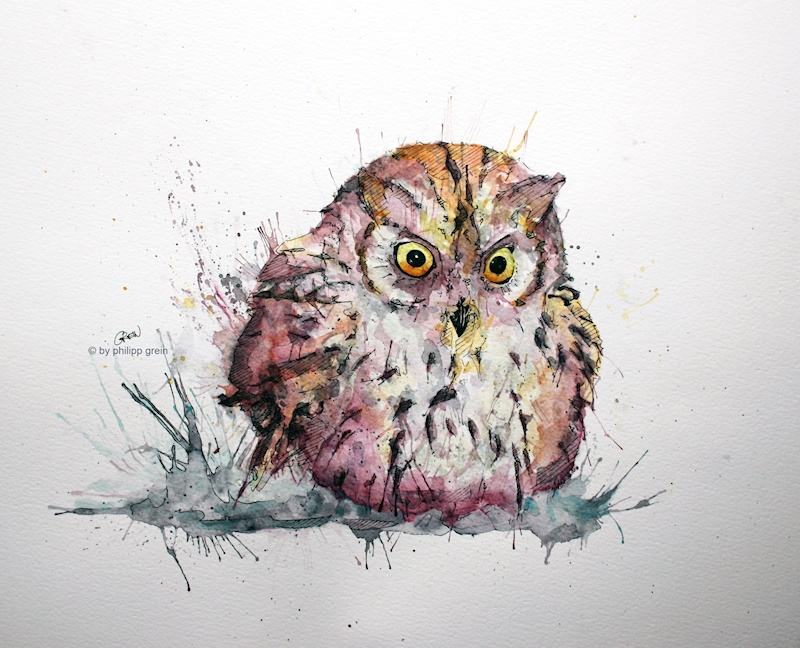 Owl Painting