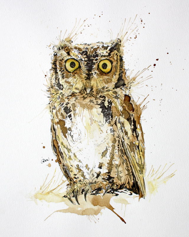 Owl Painting