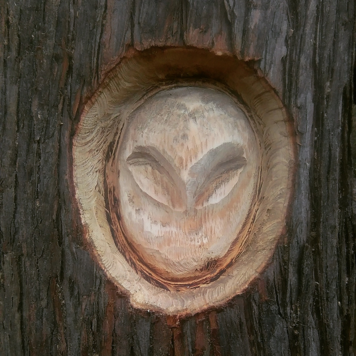 Owl chainsaw sculpture