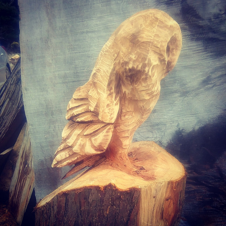 Owl chainsaw sculpture