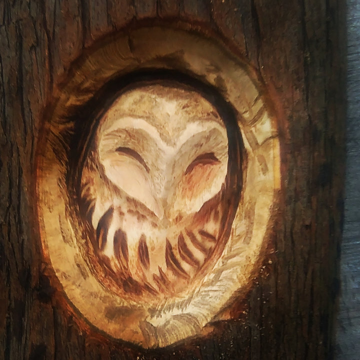 Owl chainsaw sculpture