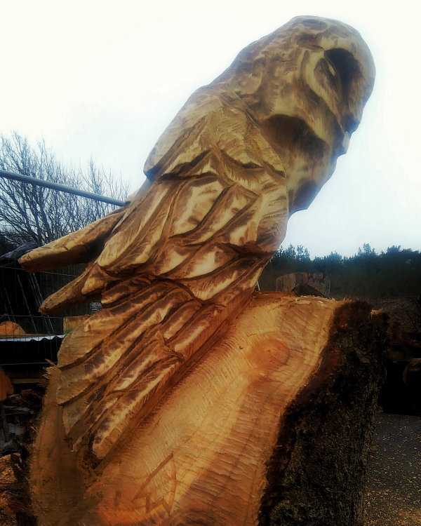 Owl chainsaw sculpture